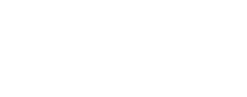 TLX_Logo_White